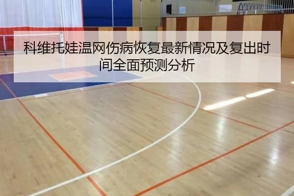科维托娃温网伤病恢复最新情况及复出时间全面预测分析